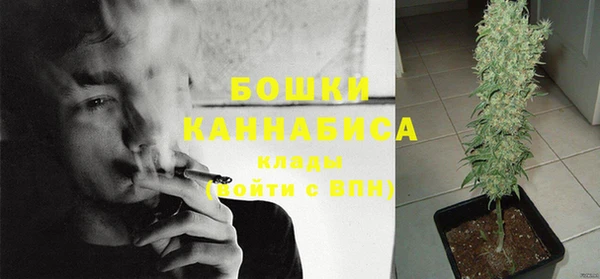 стаф Чегем