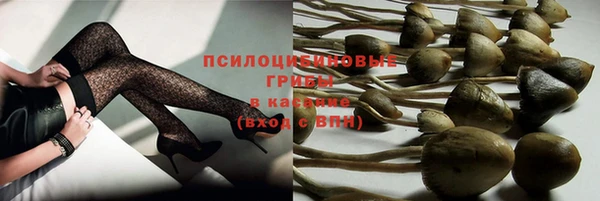 mdma Дмитровск