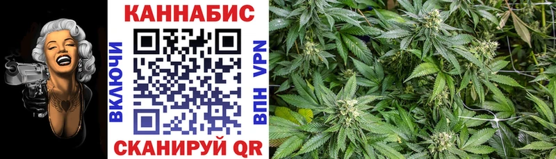 Шишки марихуана план  Невель 